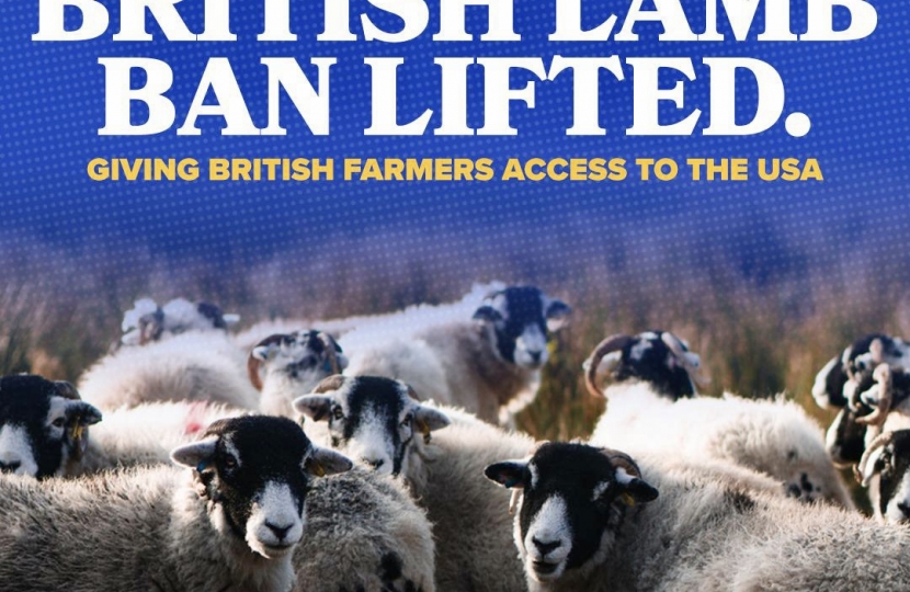 British lamb ban lifted