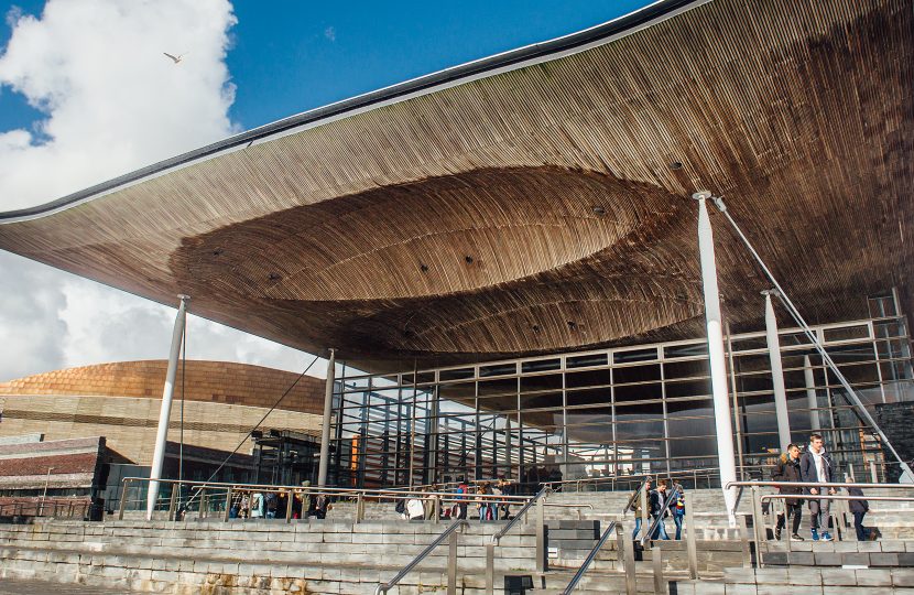 Senedd